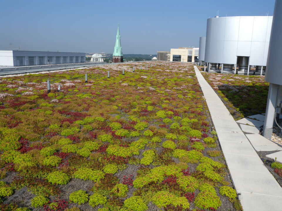 GreenRoof 401 E Street Consolidated Forensics Lab
